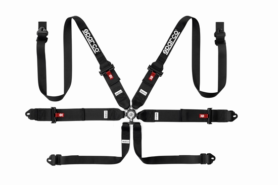 Harness and Restraints